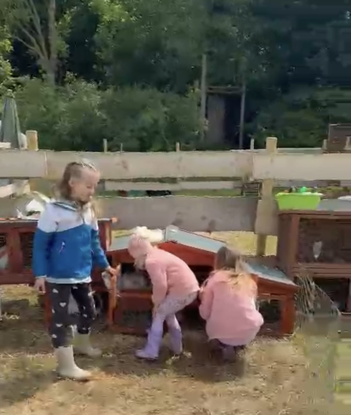Kinder bei den Tieren